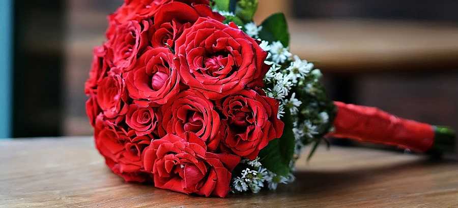 روز فور اوول cover image