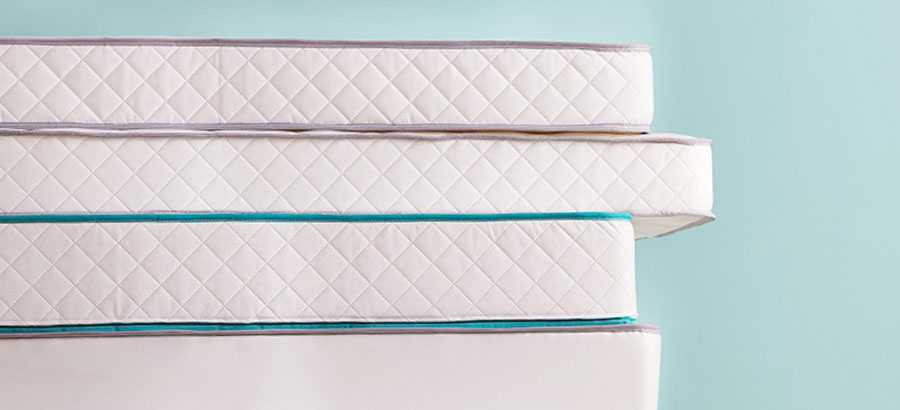 القضيبي للإسفنج cover image