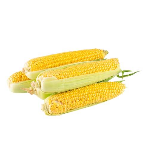 اكواز ذرة عضوي 700جم