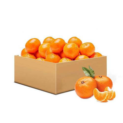 برتقال افندي جنوب افريقي 9كجم 