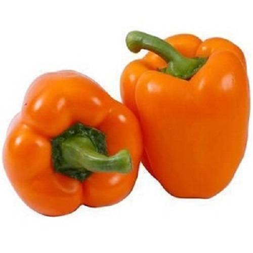 فلفل حلو عماني طازج برتقالي 500جم