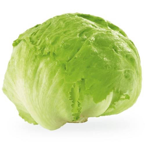 خس مدورعضوي 450جم