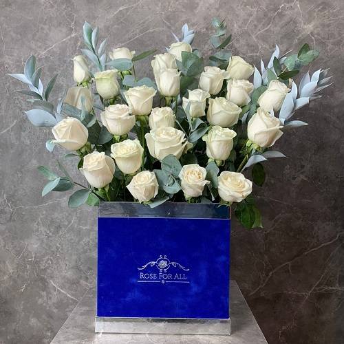 بوكس الازرق والابيض