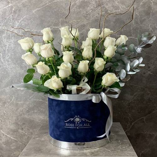 الازرق الغامق الابدي