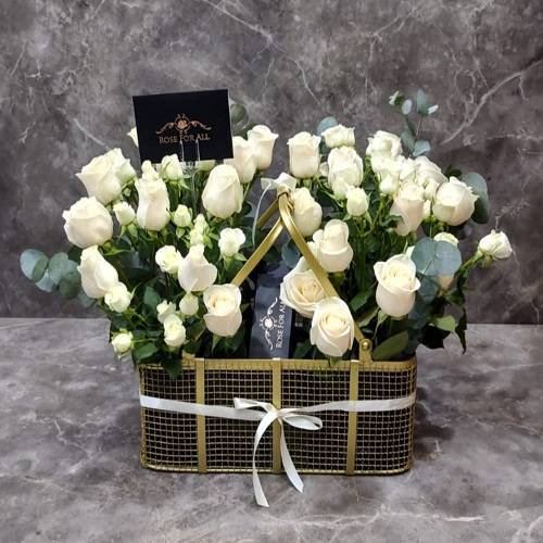 جولدش باسكت