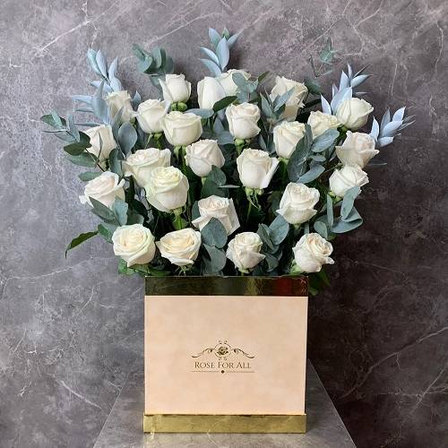 بوكس البيج والابيض