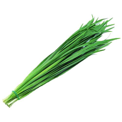 كراث طازج ربطة وسط