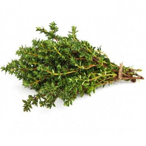 زعتر هولندي طازج 100جم