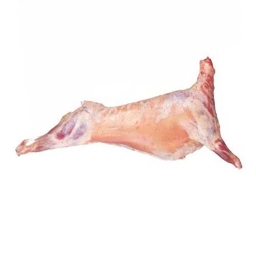 خروف استرالي مبرد