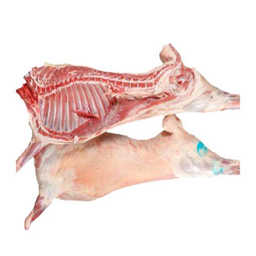 خروف تركي مبرد