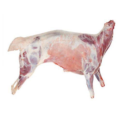 خروف مصري مبرد