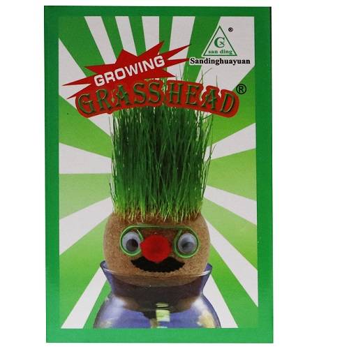 لعبة عشب صناعي صغير