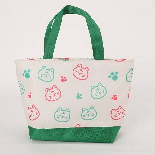 حقيبة غداء ابيض واخضر