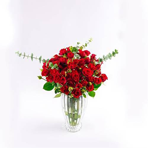 مزهرية وردة حمراء مطبوعة عليها عبارة موديل رقم.RS157