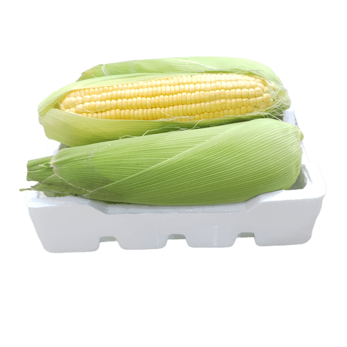 ذرة اكواز كويتي طازجة فلين 2كجم