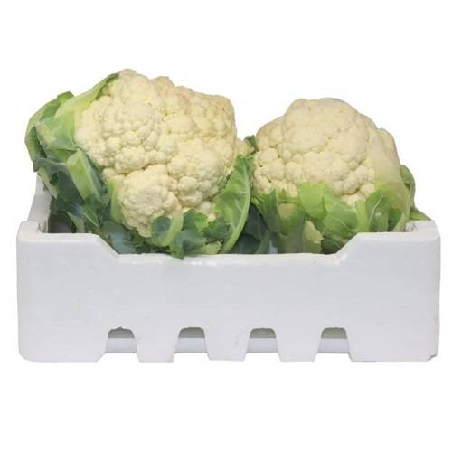 زهرة كويتي طازج صندوق فلين