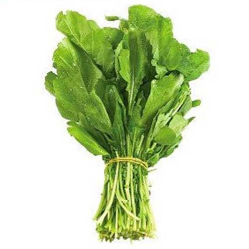 جرجير كويتي طازج ربطة وسط