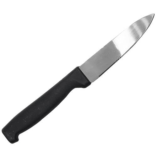 سكين مطبخ صغير