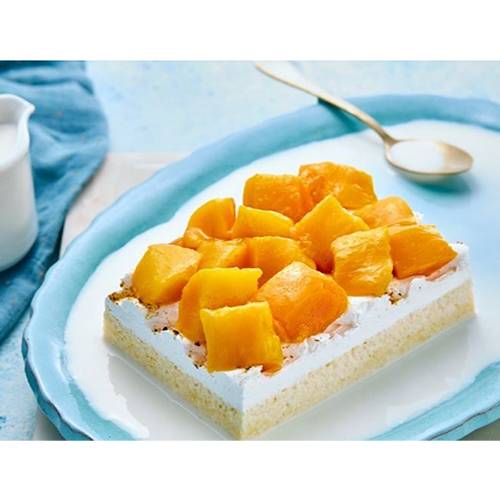 قشطوطة مانجو