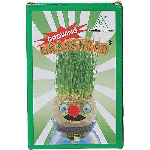 دمية الراس العشبي حجم كبير يوم التخضير