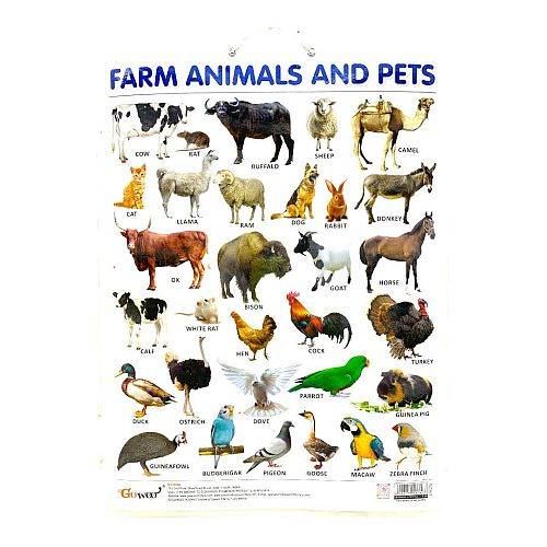 وسيلة انجليزي حيوانات المزرعة