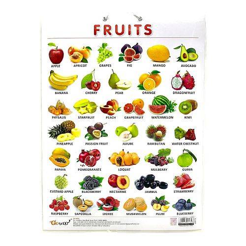 وسيلة انجليزي الفواكه