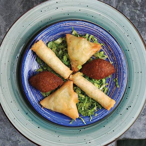 باستري مشكلة