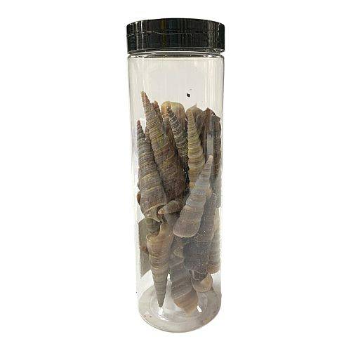 حصى زخرفية في جرة#16