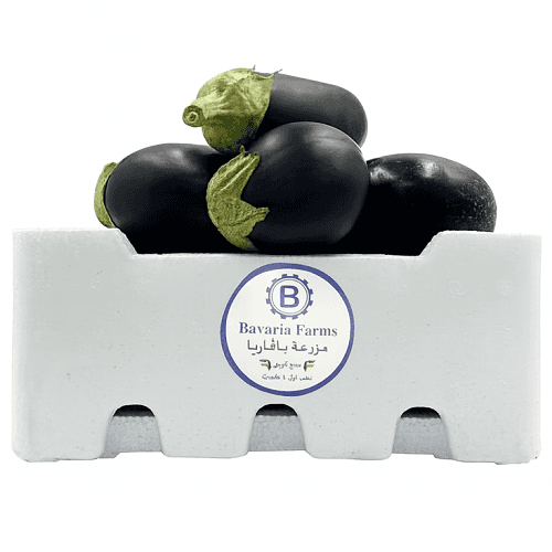 باذنجان كويتي طازج عضوي 1كجم