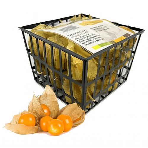 تروبي جولد حرنكش كولومبي طازج 100جم