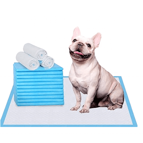 وسادات تدريب الحيوانات الاليفة على التبول وسط