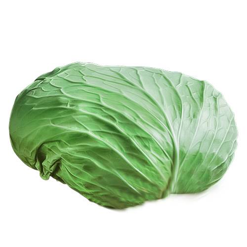 ملفوف محاشي كويتي طازج 1حبة