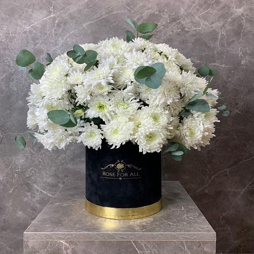 بوكس كريس المخملي رقم.1