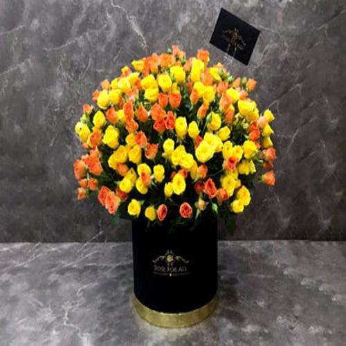 بوكس مكس فلفيت