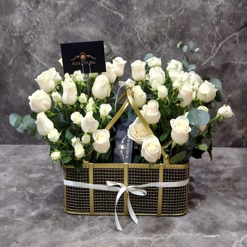 جولدش باسكت