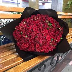 هاند بوكيه بيبي جوري