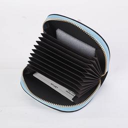 حامل بطاقات ازرق فاتح