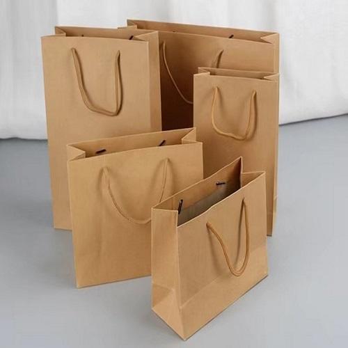 شيك حقيبة ورقية صغيرة