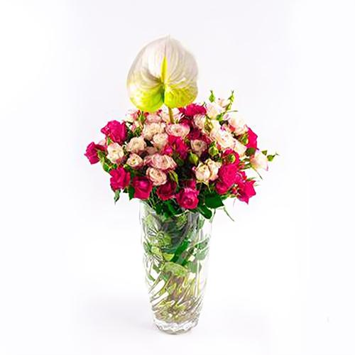 فازه مكس بيبي روز مع طباعة عبارة موديل رقم.RS155