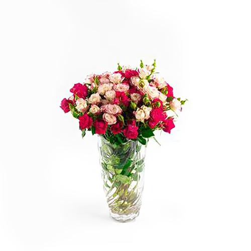 فازه مكس بيبي روز مع طباعة بطاقة موديل رقم.RS150