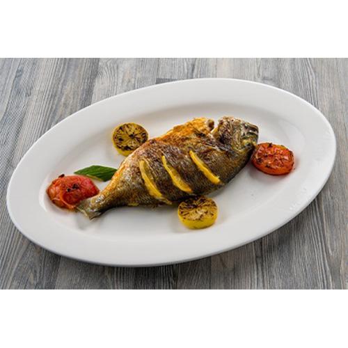 دنيس تركي وسط