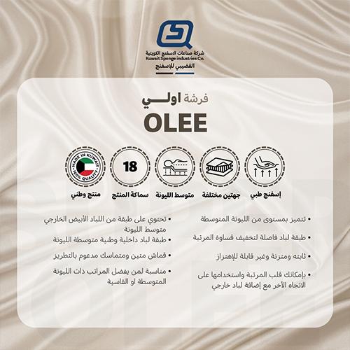 اولي مرتبة طبية 190×100×18سم