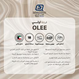 اولي مرتبة طبية 190×90×18سم