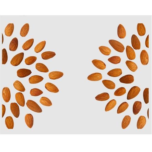 مكس لوزعالي الجودة 3 نكهات مقاس20-22