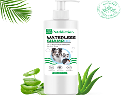 اكسسوارات ومستلزمات