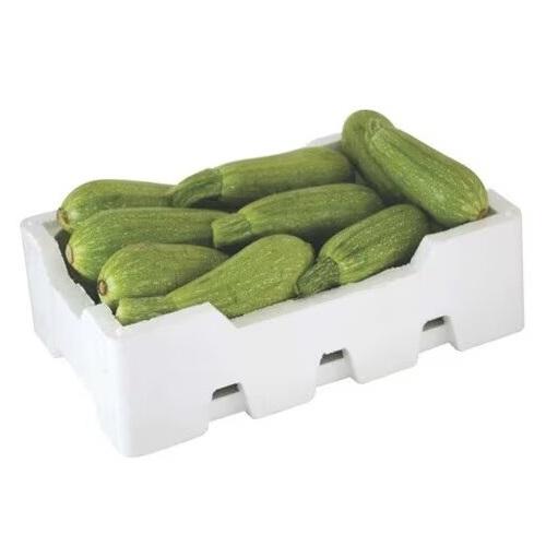 كوسه اردني طازج فلين 5كجم تقريبا