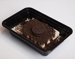 عالم القشطوطة