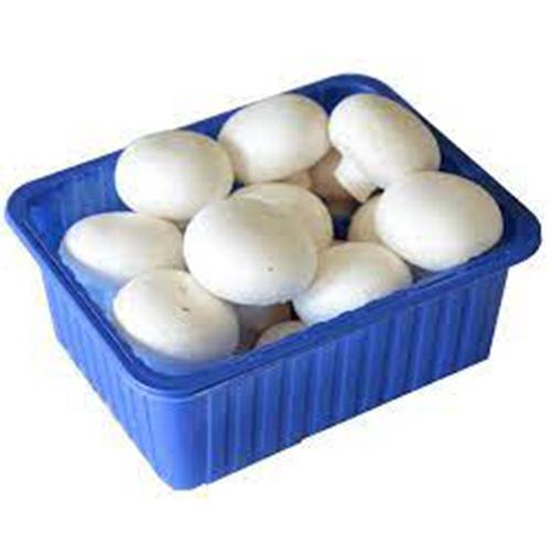 فطر مشروم هولندي طازج عبوة 250جم