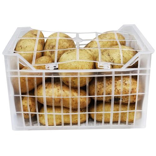 بطاط لبناني طازج سلة 4كجم