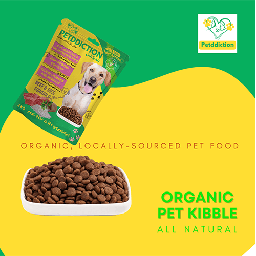 بيتديكشن طعام جاف للكلاب لحم بقري وارز غني بالبروتين 2كجم